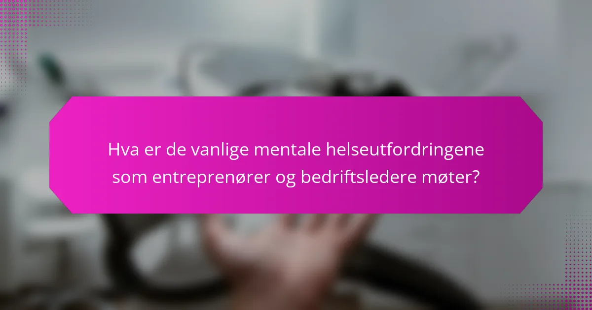 Hva er de vanlige mentale helseutfordringene som entreprenører og bedriftsledere møter?