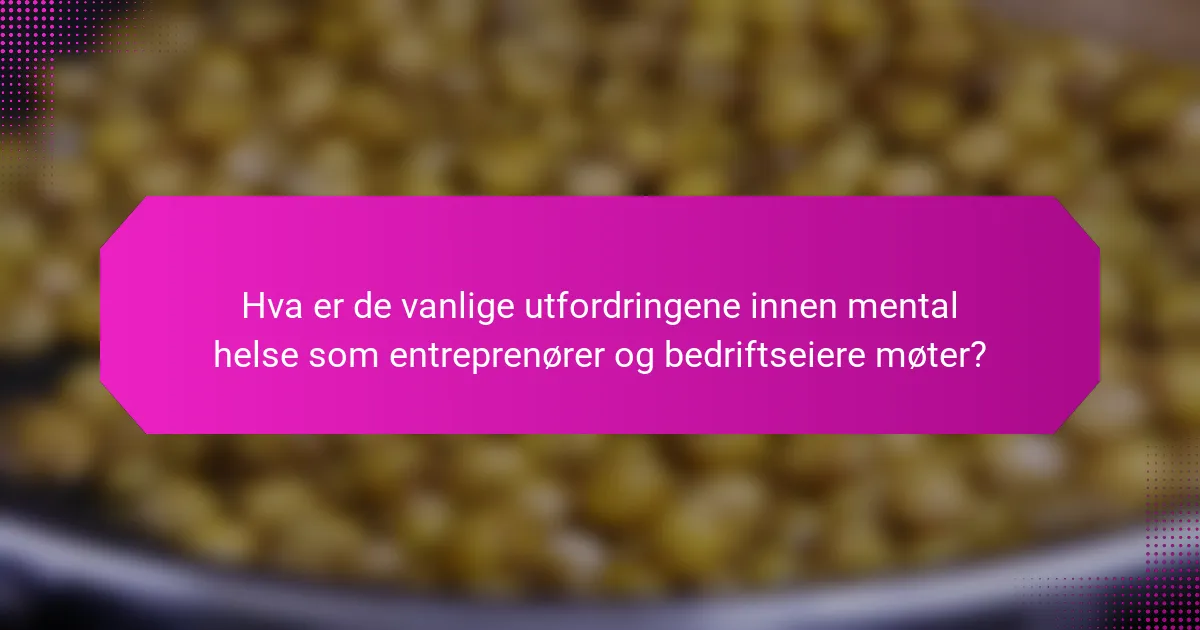 Hva er de vanlige utfordringene innen mental helse som entreprenører og bedriftseiere møter?