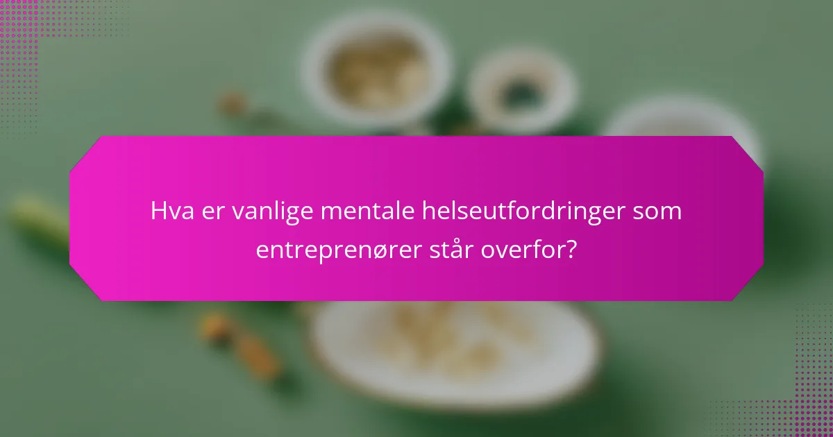 Hva er vanlige mentale helseutfordringer som entreprenører står overfor?