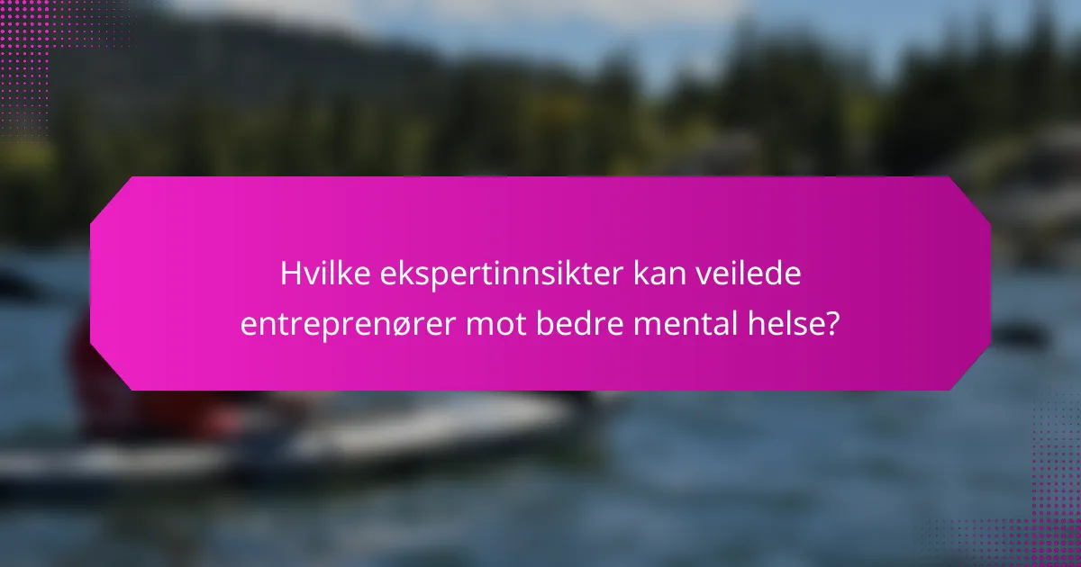 Hvilke ekspertinnsikter kan veilede entreprenører mot bedre mental helse?