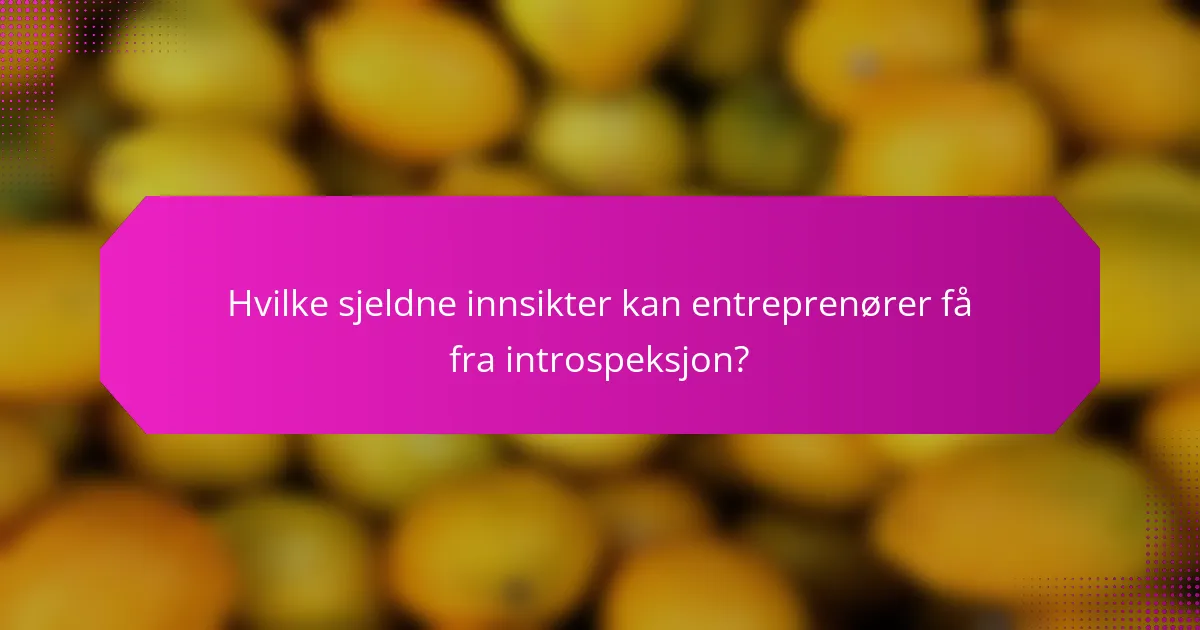 Hvilke sjeldne innsikter kan entreprenører få fra introspeksjon?