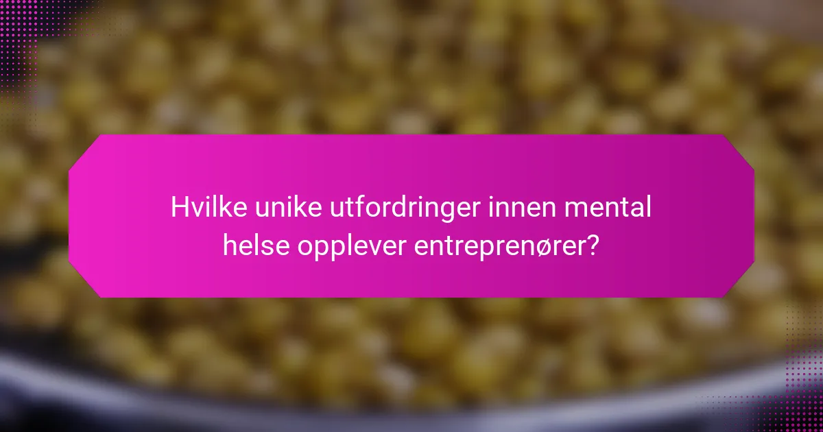 Hvilke unike utfordringer innen mental helse opplever entreprenører?