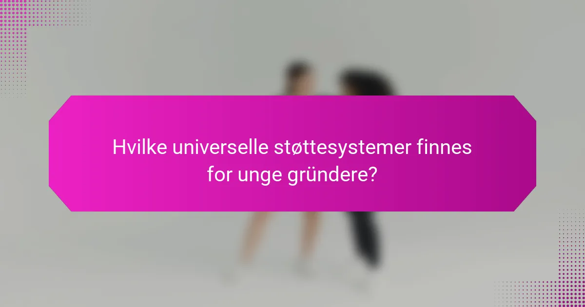 Hvilke universelle støttesystemer finnes for unge gründere?