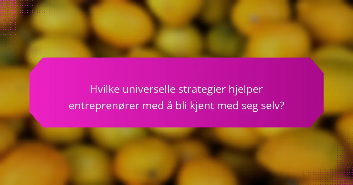 Hvilke universelle strategier hjelper entreprenører med å bli kjent med seg selv?